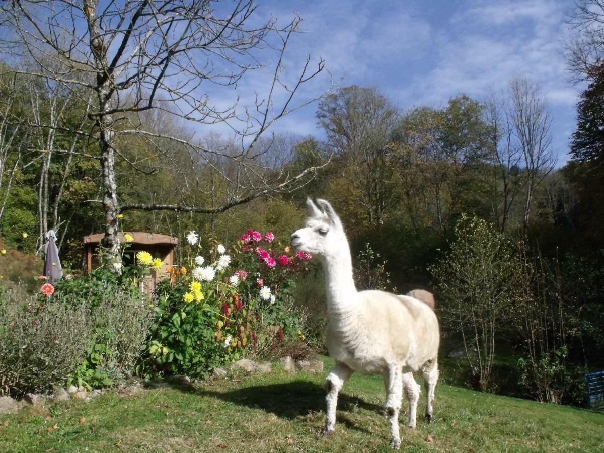 Le Domaine Du Chatelet Ferdrupt Exterior photo